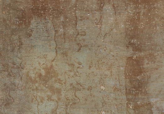 Монсерат низ коричневый