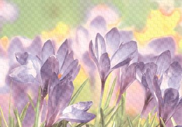 Вставка Виола D2