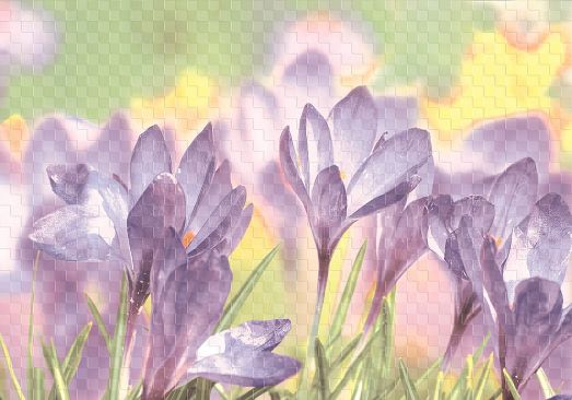 Вставка Виола D2