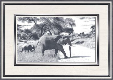 Вставка Танзания D