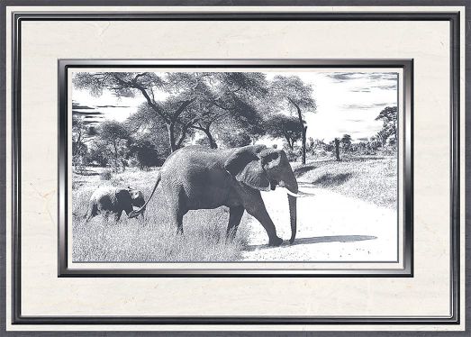 Вставка Танзания D