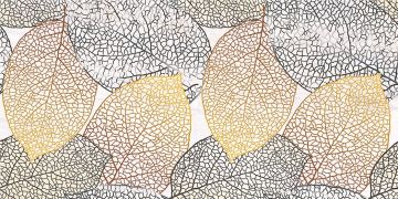 Вставка Абсолют D1