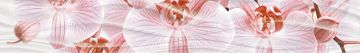 Бордюр Орхидея G