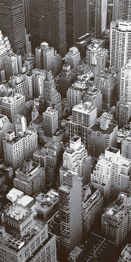 Вставка Сити D