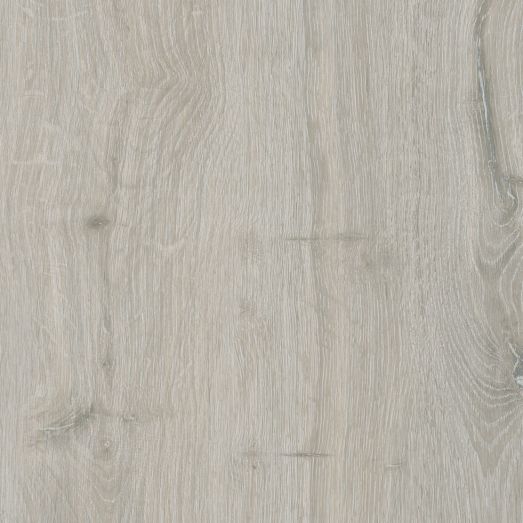 Берген серый