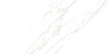 Флорида белая