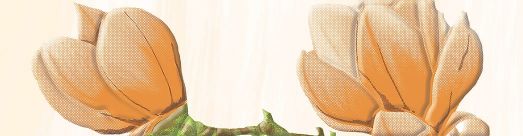 Бордюр Крема B