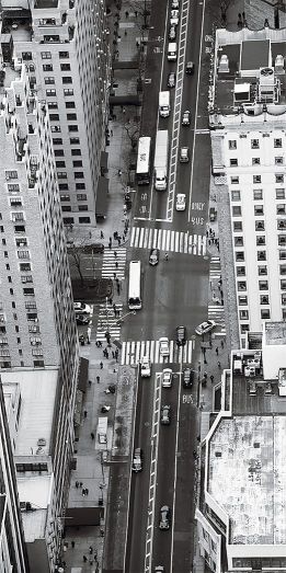 Вставка Сити D1