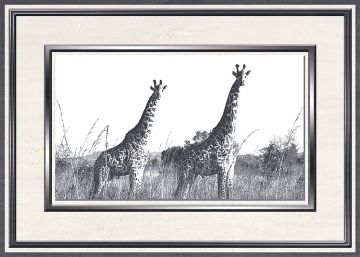 Вставка Танзания D1