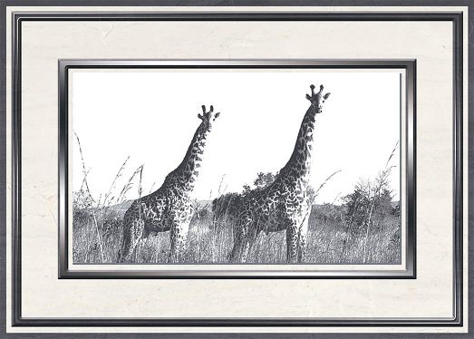 Вставка Танзания D1