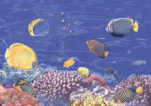 Вставка Бригантина D2