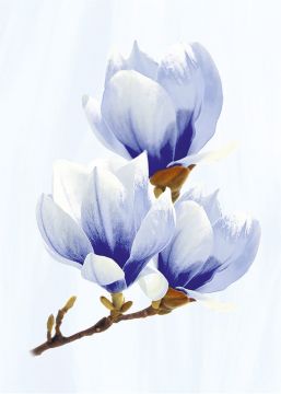 Вставка Агата голубая D