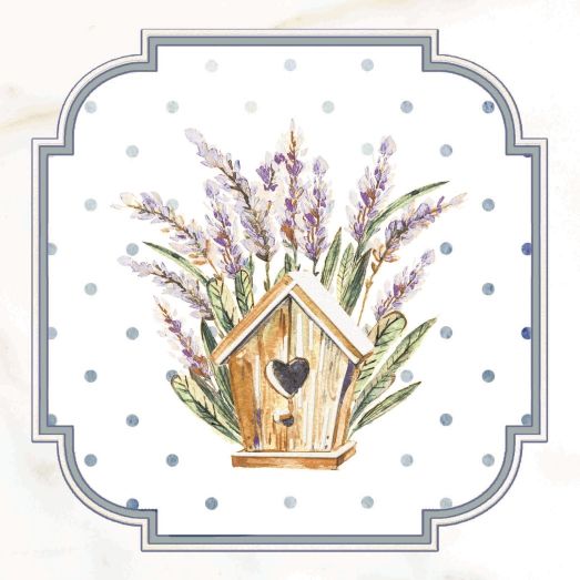 Вставка Сопрано D5