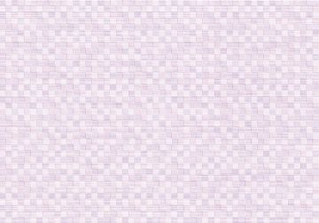 Виола светло-голубая