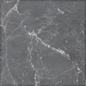 Сага темно-серая