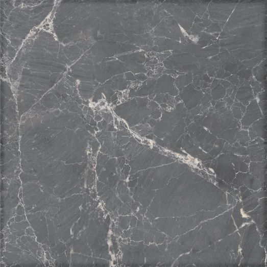 Сага темно-серая