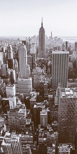 Вставка Сити D2