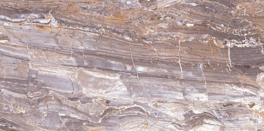 Абсолют низ