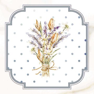 Вставка Сопрано D6