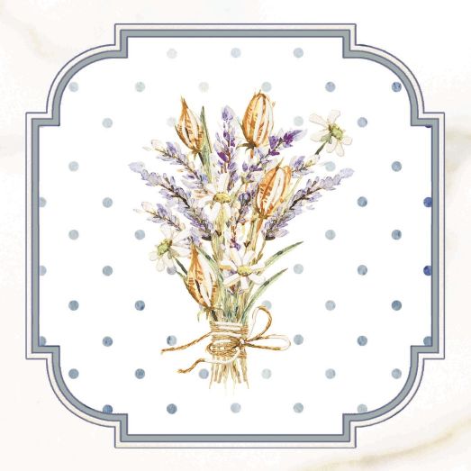 Вставка Сопрано D6