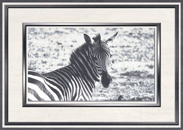 Вставка Танзания D2