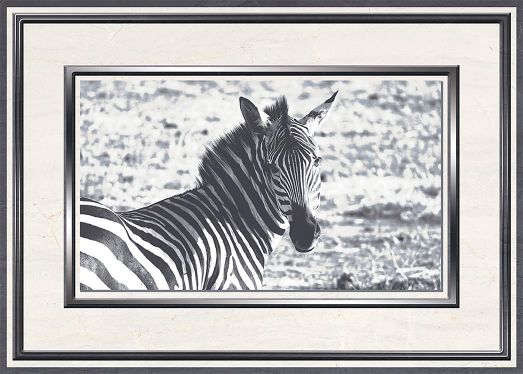 Вставка Танзания D2