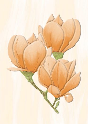 Вставка Крема D