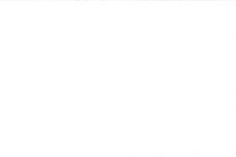 Челси белая